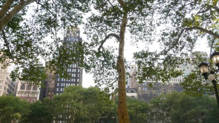 New York City, Manhattan Midtown Bryant Park with Public library, 42 street and 5th Fifth 5 avenue corner, United States. NYC landmark in USA. Trees summer greenery in public park garden. Buildings.
