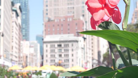 Nueva York, Estados Unidos, Manhattan Midtown Broadway, calle 23, cruce de avenidas 5. Worth Square cerca de Madison Park, Flatiron Building, EE.UU. Personas en sillas, mesas y sombrillas. Flores de verano.