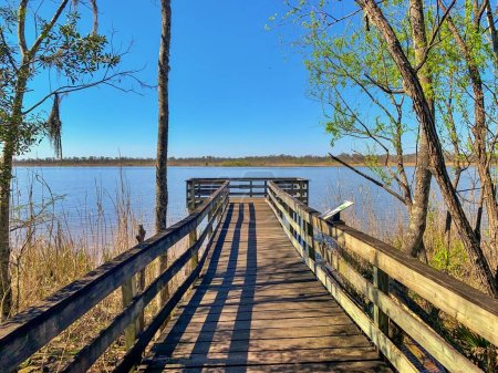 Blakeley State Park waterfront on the Tensaw River and Mobile Bay in Spanish Fort, Alabama
