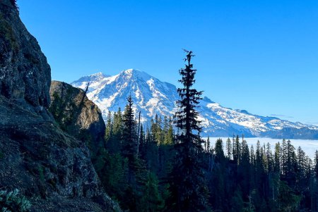 Téléchargez les photos : Mount Rainier de High Rock Lookout à Ashford, WA - en image libre de droit
