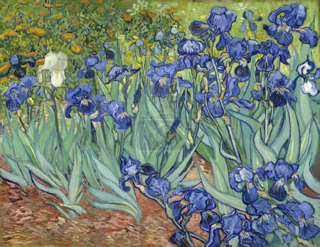 Ilustración de Iris de Vincent van Gogh, 188 - Imagen libre de derechos