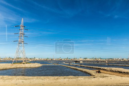 Téléchargez les photos : Landscape near Port Said city, Egypt - en image libre de droit