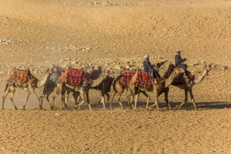 Foto de CAIRO, EGIPTO - 28 DE ENERO DE 2019: Jinetes de camellos frente a las grandes pirámides de Giza, Egipto - Imagen libre de derechos