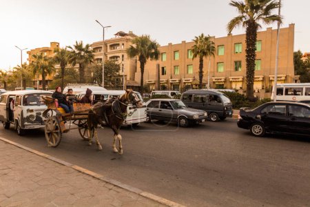 Photo for CAIRO, EGYPT - JANUARY 28, 2019: Horse carriage on a road in Giza, Egypt - Royalty Free Image