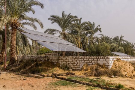 Foto de Solar panels in a palm grove in Bahariya oasis, Egypt - Imagen libre de derechos