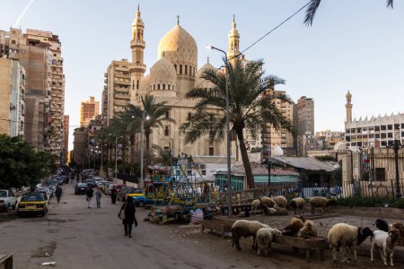 Téléchargez les photos : ALEXANDRIA, EGYPT - FEBRUARY 2, 2019: Street scenes with a small fun fair and sheep and Abu al-Abbas al-Mursi Mosque in Alexandria, Egypt - en image libre de droit
