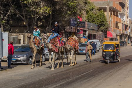 Foto de CAIRO, EGYPT - JANUARY 31, 2019: Camel handlers in Giza neighborhood of Cairo, Egypt - Imagen libre de derechos