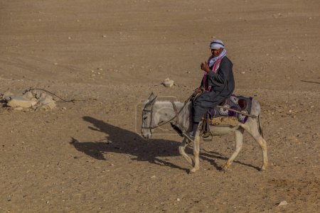 Téléchargez les photos : SAQQARA, EGYPT - JANUARY 31, 2019: Local man riding a  donkey at the Djoser (Zoser) funerary complex in Saqqara, Egypt - en image libre de droit