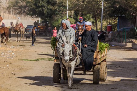 Photo for CAIRO, EGYPT - JANUARY 31, 2019: Donkey carriage in Giza neighborhood of Cairo, Egypt - Royalty Free Image