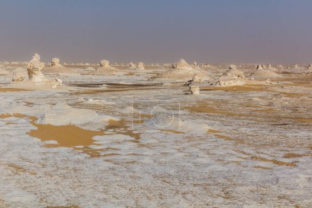 Téléchargez les photos : Formations de roches calcaires dans le désert blanc, Egypte - en image libre de droit