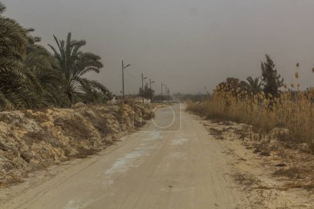 Téléchargez les photos : Road in Bahariya oasis, Egypt - en image libre de droit