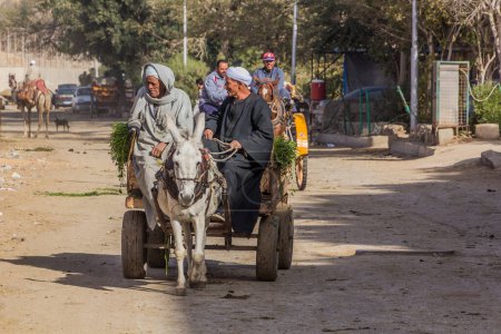 Téléchargez les photos : CAIRO, EGYPT - JANUARY 31, 2019: Donkey carriage in Giza neighborhood of Cairo, Egypt - en image libre de droit
