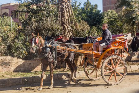 Photo for CAIRO, EGYPT - JANUARY 28, 2019: Horse carriage in Giza, Egypt - Royalty Free Image