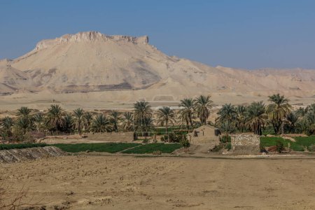 Foto de Vista del oasis de Dakhla, Egipto - Imagen libre de derechos