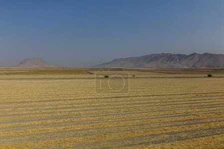Photo for View of landscape near Shiraz, Iran - Royalty Free Image
