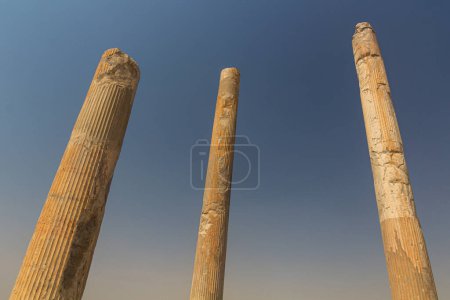 Téléchargez les photos : Colonnes du palais Apadana dans l'ancienne Persépolis, Iran - en image libre de droit
