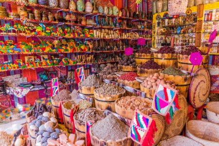 Photo for ASWAN, EGYPT: FEB 22, 2019: Various items for sale in a shop in Nubian village Gharb Seheil, Egypt - Royalty Free Image