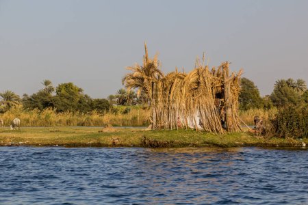 Photo for Hut at the banks of the river Nile, Egypt - Royalty Free Image