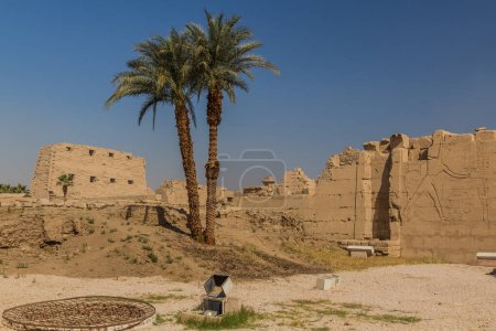 Téléchargez les photos : Palms in the ruins of the Karnak Temple Complex, Egypt - en image libre de droit