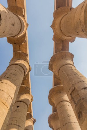 Téléchargez les photos : Grande Colonnade du temple de Louxor, Egypte - en image libre de droit