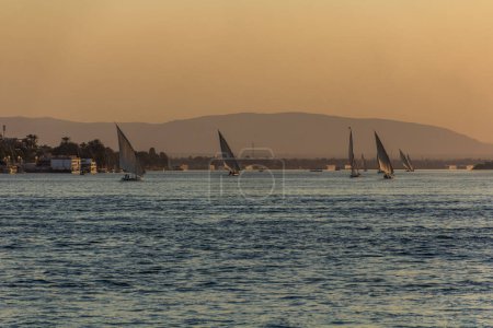 Téléchargez les photos : Evening view of felucca sail boats at the river Nile in Luxor, Egypt - en image libre de droit
