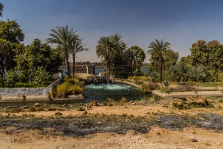 Téléchargez les photos : River Nile and an irigation canal, Egypt - en image libre de droit