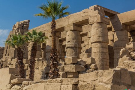Téléchargez les photos : Colonnes décorées de la Grande Salle Hypostyle dans l'enceinte du temple Amun à Karnak, Egypte - en image libre de droit