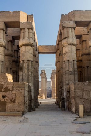 Téléchargez les photos : Colonnes du temple de Louxor, Égypte - en image libre de droit