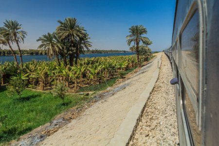 Téléchargez les photos : View of the river Nile from a train in Egypt - en image libre de droit