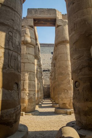 Photo for Columns at the Luxor temple, Egypt - Royalty Free Image