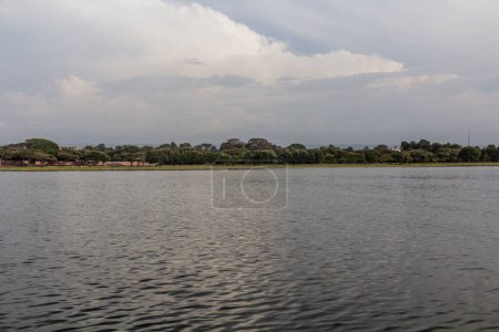 Photo for View of Awassa lake, Ethiopia - Royalty Free Image