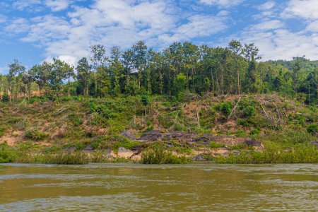 Photo for Trees are removed due to increasing levels of Nam Ou river during Nam Ou 3 dam filling, Laos - Royalty Free Image