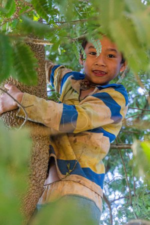 Foto de NAMKHON, LAOS - 18 de noviembre de 2019: Niño local en un árbol en la aldea de Namkhon cerca de la ciudad de Luang Namtha, Laos - Imagen libre de derechos