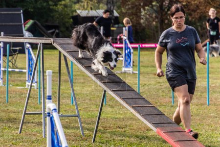 Photo for LYSA NAD LABEM, CZECH REPUBLIC - SEPTEMBER 26, 2021: Dog and a handler running over dog walk during agility competition in Lysa nad Labem, Czech Republic - Royalty Free Image