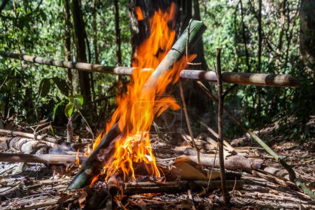 Téléchargez les photos : Soupe préparée dans un bambou dans une forêt près de Luang Namtha, Laos - en image libre de droit