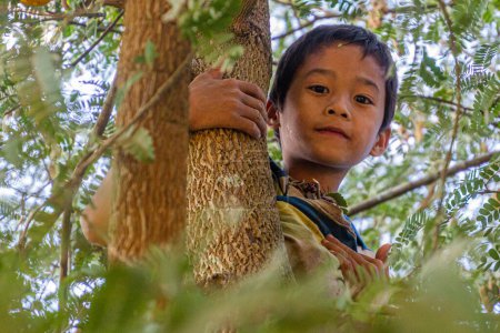 Foto de NAMKHON, LAOS - 18 de noviembre de 2019: Niño local en un árbol en la aldea de Namkhon cerca de la ciudad de Luang Namtha, Laos - Imagen libre de derechos