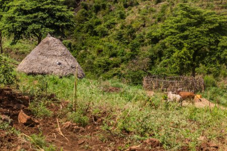 Téléchargez les photos : Petite cabane près de Arba Minch, Ethiopie - en image libre de droit