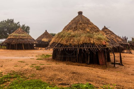 Téléchargez les photos : Cabanes dans un village de la tribu Hamer près de Turmi, Éthiopie - en image libre de droit