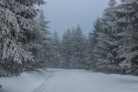 Foto de Vista de invierno de una pista de esquí en las montañas de Orlicke hory, República Checa - Imagen libre de derechos