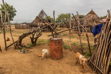 Téléchargez les photos : Cabanes dans le village Korcho de la tribu Karo, Éthiopie - en image libre de droit