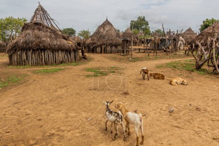 Foto de Cabañas de la aldea Korcho habitadas por la tribu Karo, Etiopía - Imagen libre de derechos
