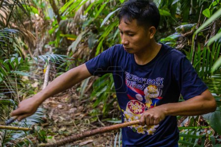 Foto de LUANG NAMTHA, LAOS - 18 de noviembre de 2019: Guía local cortando ratán en un bosque cerca de la ciudad de Luang Namtha, Laos - Imagen libre de derechos