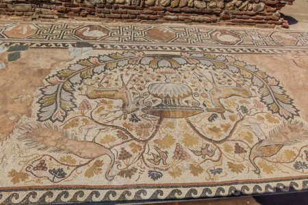 Foto de Mosaicos del piso en las ruinas antiguas de Heraclea Lyncestis cerca de Bitola, Macedonia del Norte - Imagen libre de derechos