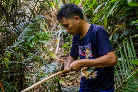 Photo for LUANG NAMTHA, LAOS - NOVEMBER 18, 2019: Local guide cutting rattan in a forest near Luang Namtha town, Laos - Royalty Free Image
