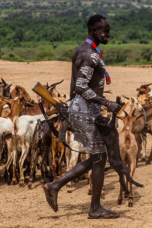 Téléchargez les photos : KORCHO, ÉTHIOPIE - 4 FÉVRIER 2020 : Homme tribal karo avec un fusil et des chèvres dans le village de Korcho, Éthiopie - en image libre de droit