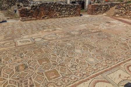 Téléchargez les photos : Mosaïques au sol à Heraclea Lyncestis ruines anciennes près de Bitola, Macédoine du Nord - en image libre de droit