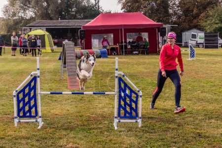 Photo for LYSA NAD LABEM, CZECH REPUBLIC - SEPTEMBER 26, 2021: Dog and a handler jumping over a hurdlee during agility competition in Lysa nad Labem, Czech Republic - Royalty Free Image