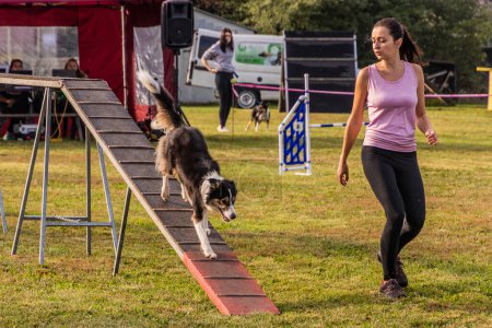 Photo for LYSA NAD LABEM, CZECH REPUBLIC - SEPTEMBER 26, 2021: Dog and a handler running over obstacle during agility competition in Lysa nad Labem, Czech Republic - Royalty Free Image