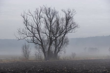 Téléchargez les photos : Vue d'hiver d'une louche brumeuse de la République tchèque - en image libre de droit