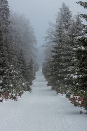 Foto de Vista de invierno de una pista de esquí en las montañas de Orlicke hory, República Checa - Imagen libre de derechos